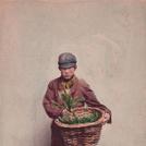 Chickweed seller